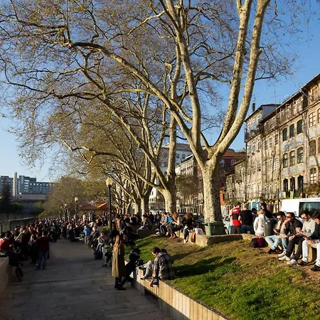 Apartment Virtudes Lofts *